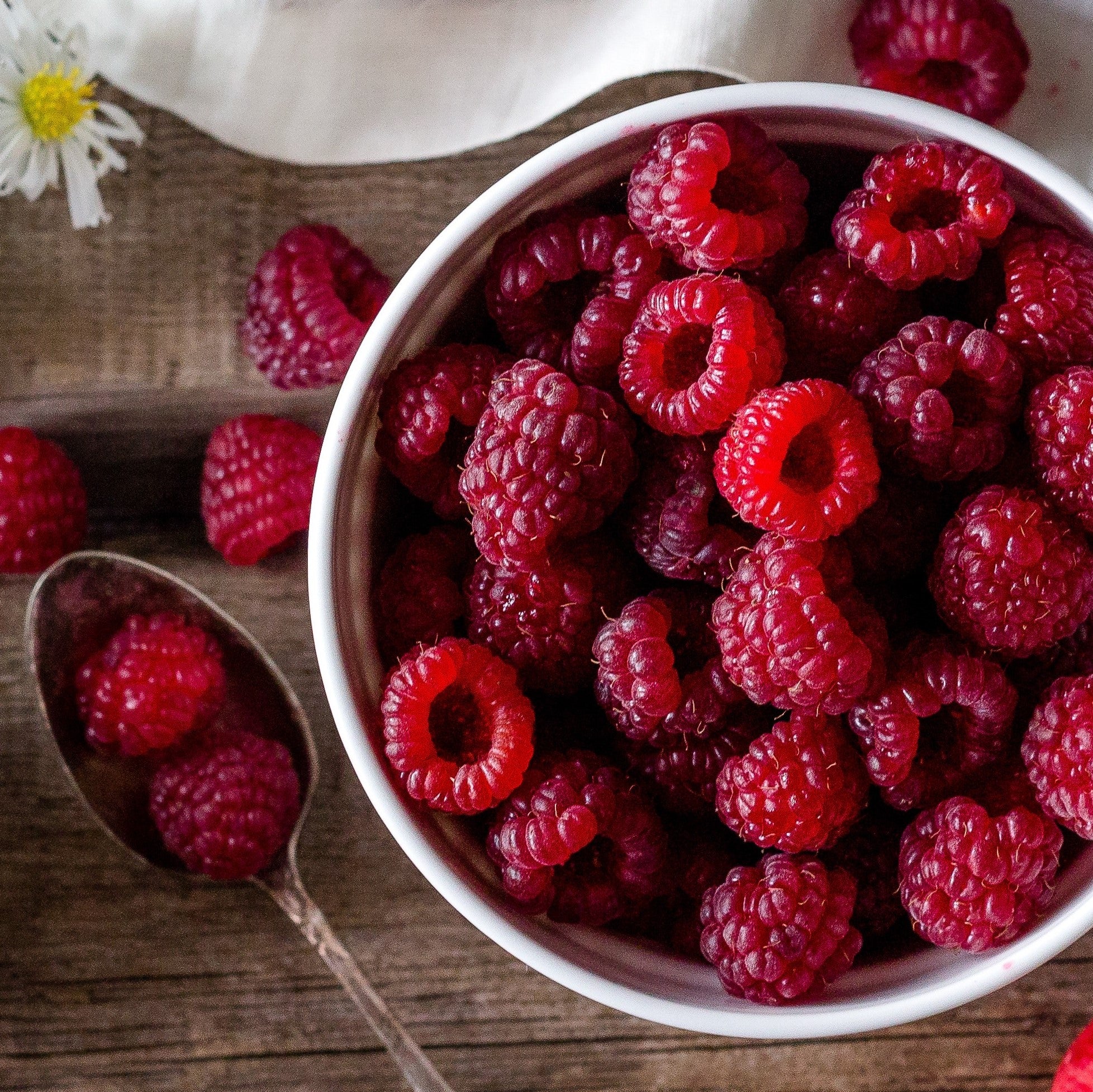 Raspberry Jewel Black Tea