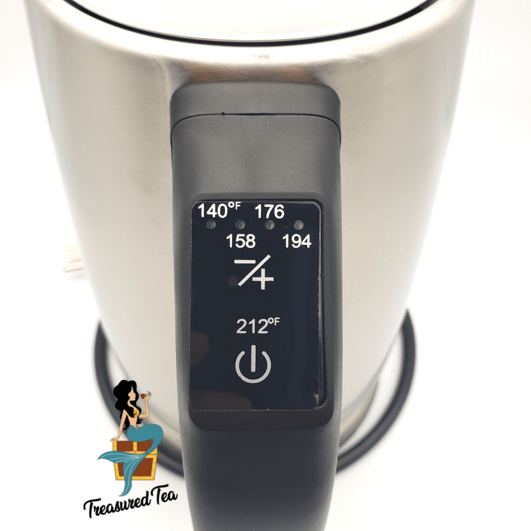 Stainless Steel Tea Kettle